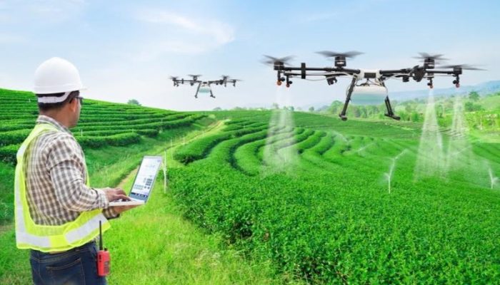 LLEAD-Dau-tu-du-an-3