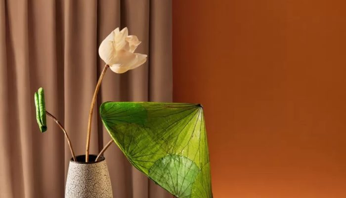 LLEAD-Thuong-mai-phan-phoi-5