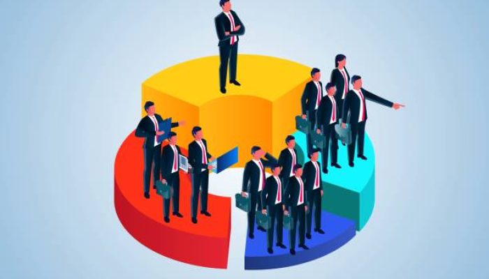 The proportion and share of market profits, the percentage of company shares held by shareholders and investors, the distribution of marketing strategy projects, and equidistant merchants stand on the pie chart